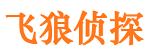 铜陵市侦探调查公司